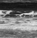 water#6 water%236 (thumbnail)