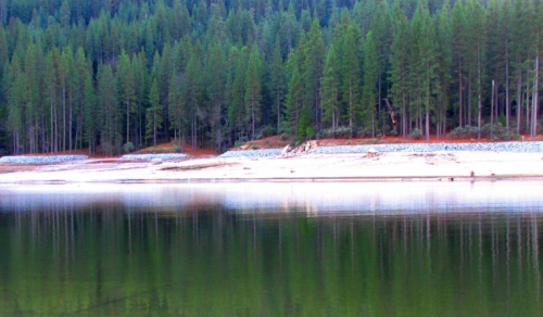 Bass Lake Trees Bass%20Lake%20Trees (thumbnail)