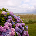 Pleasant%20Bay%2C%20Chatham (thumbnail)
