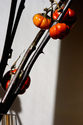 Branches (thumbnail)