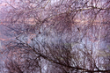 St.%20Mark%27s%2C%20Birch%2C%20West%20Campus (thumbnail)