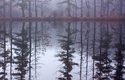 St.%20Mark%27s%2C%20West%20Campus%20Pond%2C%20Fog (thumbnail)
