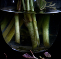 Stems (thumbnail)