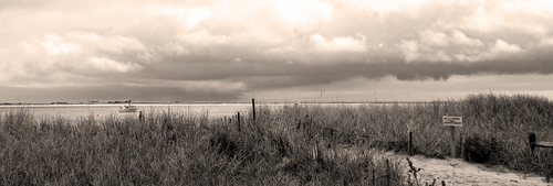 Clearing (thumbnail)
