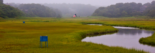 Marsh%20Near%20Cockle%20Cove (thumbnail)