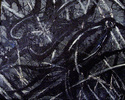 Hugin%20%26%20Munin (thumbnail)