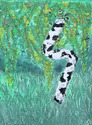 Crooked (thumbnail)
