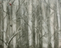 Jupiter%27s%20Branch (thumbnail)