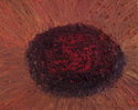 Center%20of%20the%20Sun (thumbnail)