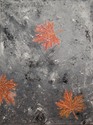 Fall%20at%20My%20Feet (thumbnail)