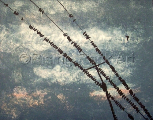 Flockpile (large view)