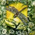 Dragonfly (thumbnail)