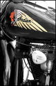 38 Chief