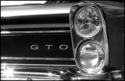 65 GTO