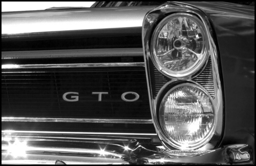 Photography-65 GTO