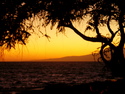 The Perfect Sunset The%20Perfect%20Sunset (thumbnail)
