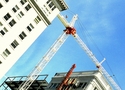 Crane Crane (thumbnail)