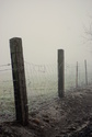 Mend Fences Mend%20Fences (thumbnail)