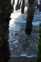 Under a California Pier Under%20a%20California%20Pier (thumbnail)