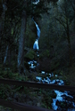 Oregon Waterfall 1 Oregon%20Waterfall%201 (thumbnail)