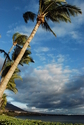 Kaanapali Maui Hawaii Kaanapali%20Maui%20Hawaii (thumbnail)