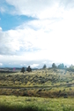 Warm Springs Reservation Warm%20Springs%20Reservation (thumbnail)