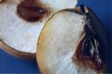 Pears part Duex Pears%20part%20Duex (thumbnail)
