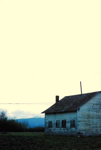 Shed (large view)