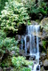 Photography-The Falls