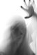 Photography-Ghost