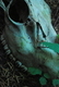 Photography--Color-AnimalsRecycle