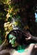 Photography--Color-EditorialThe Last Temptation