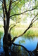 Photography--Color-NatureSmith and Bybee Park