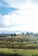 Photography--Color-LandscapeWarm Springs Reservation