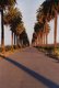 Photography--Color-LandscapeThe Road To Heaven