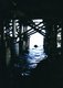 Photography--ColorMonterey, California