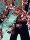Photography--Color-NatureLooking Through