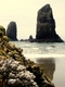 Photography--Color-NatureHaystacks