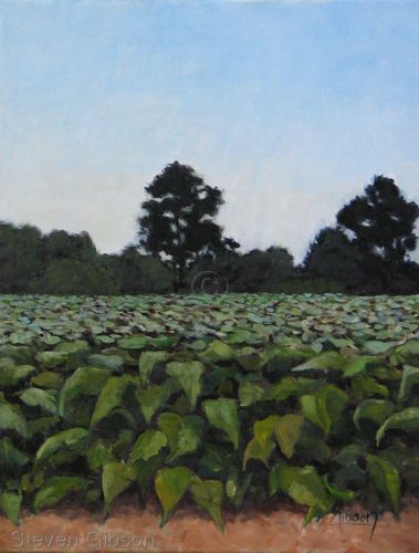 Painting-Landscape-Clayton Tobacco Field