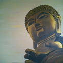 steph moelders - shining buddha