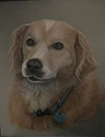 Sparky