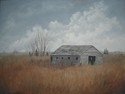 The Shed