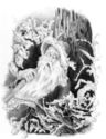 Rip Van Winkle
