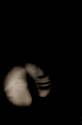 Enigma