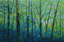 Forest Focus