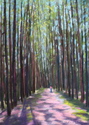 In the Woods