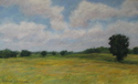 Provence in August