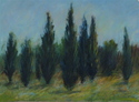 Provence Cypress Trees