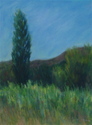 Provence Scene with Poplar