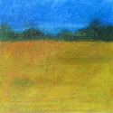 Gold Field